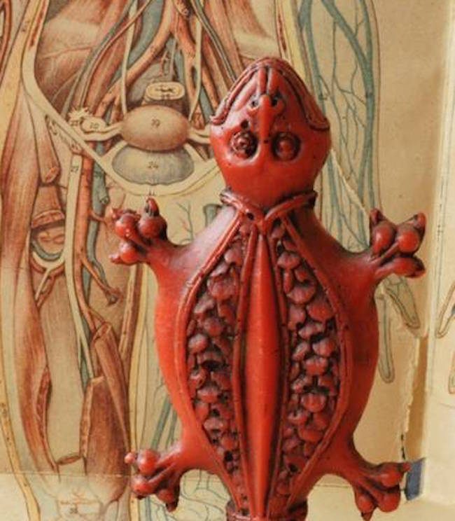 German wax toad votive offered for relief of abdominal pain.