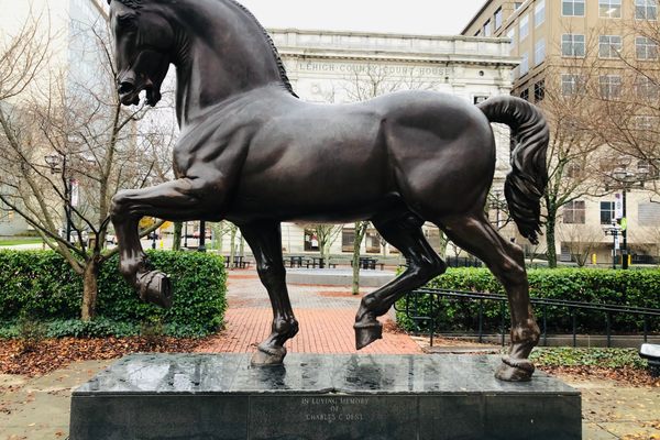 Leonardo's Horse Allentown PA