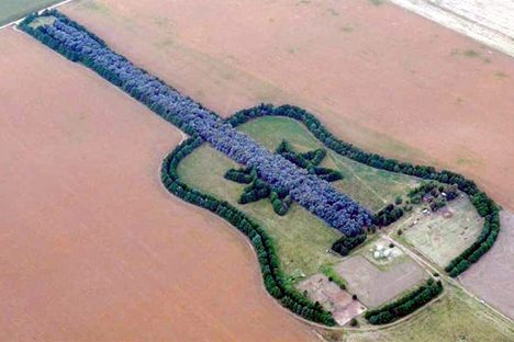 Pedro Martín Ureta's Forest Guitar 
