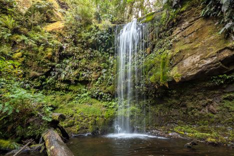 Koropuku Falls