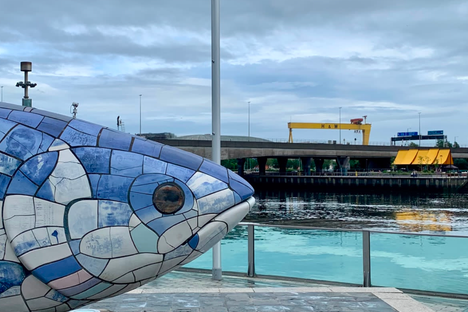 The Salmon of Knowledge