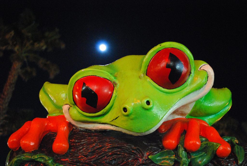 A Rainforest Cafe mascot, Cha Cha the red-eyed tree frog.