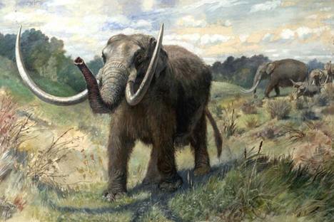 Mastodons once roamed over much of North America. One of them died near the future site of San Diego, causing a scientific controversy 130,000 years later.