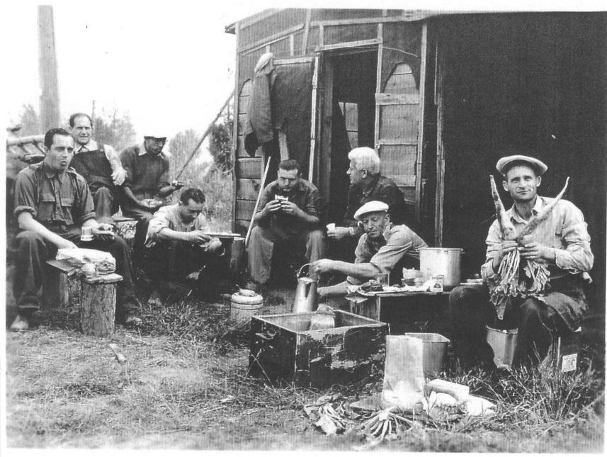 Italian internees on agricultural work parole.
