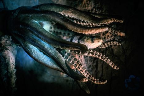 Do climate change monsters have a dozen tentacles and a thirst for blood?