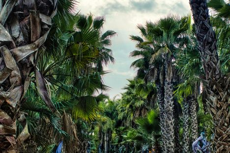 African sculpture gardens boardwalk
