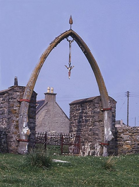 10 Places Where You Can See Whale Bones Outside a Museum - Atlas