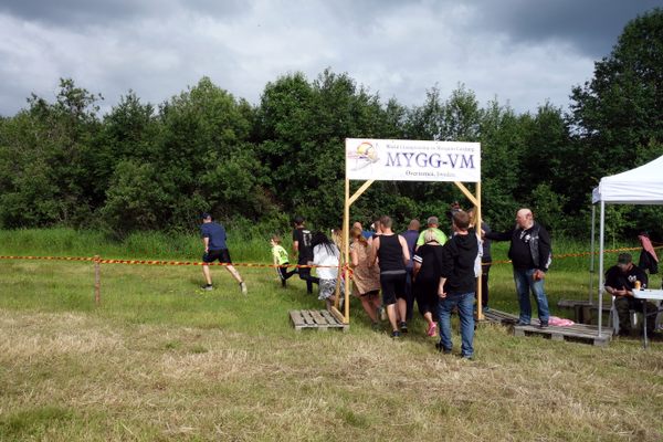 The competition has just started and the competitors are off!