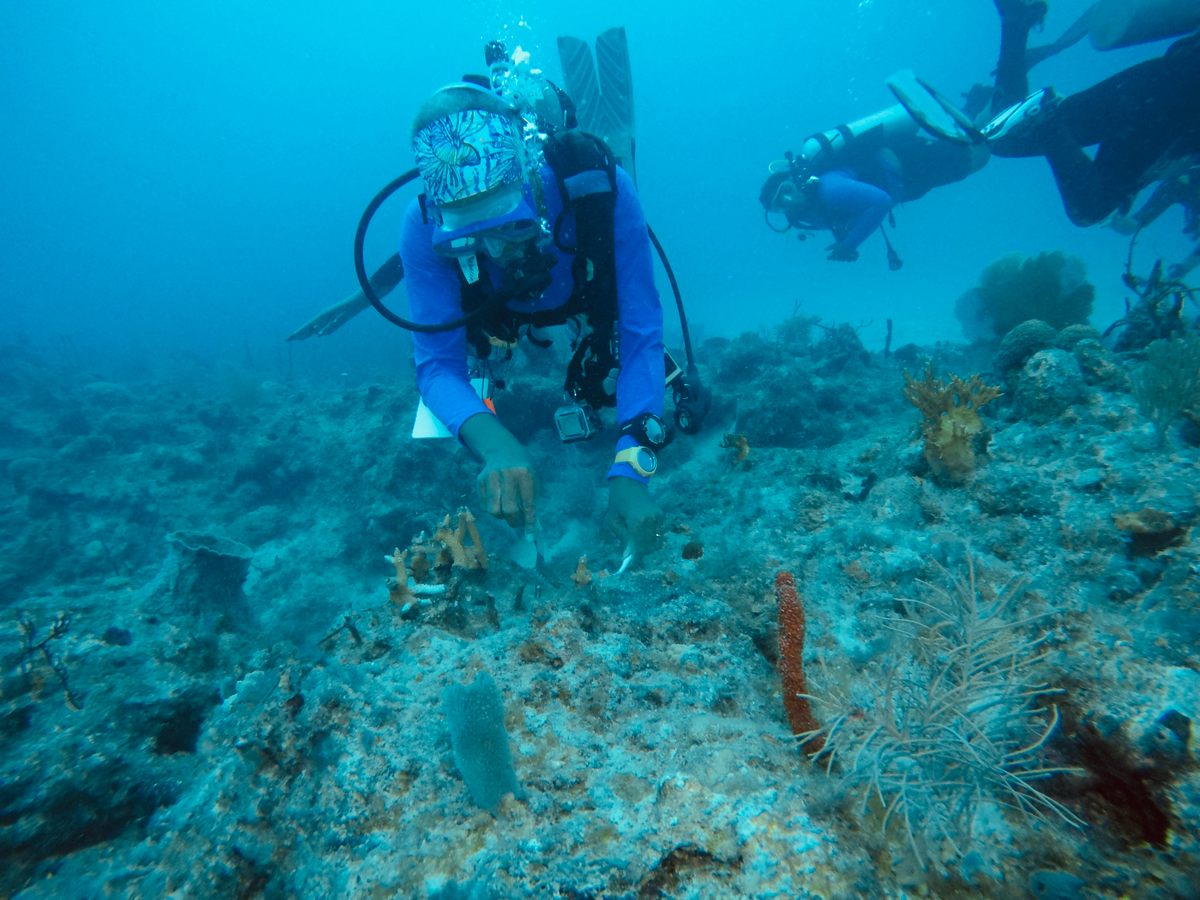 Young divers participating in a CARES coral conservation project clean rocks as they prepare to outplant coral.
