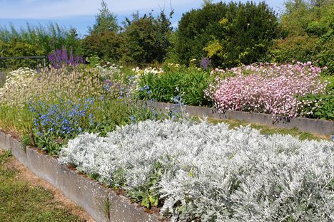 Kilcoan Gardens