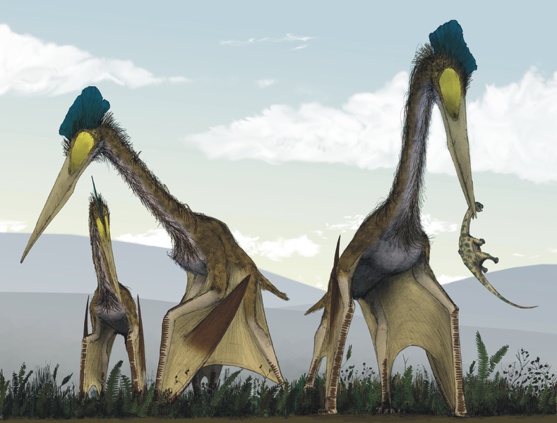 Explore the Best Pterodactyloidea Art