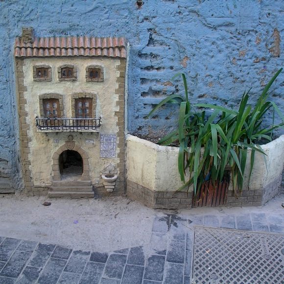Cat in best sale a house