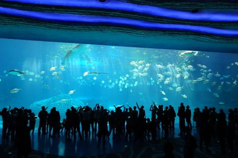 Chimelong Ocean Kingdom