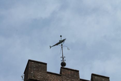 The Lewes Shark Weather Vane