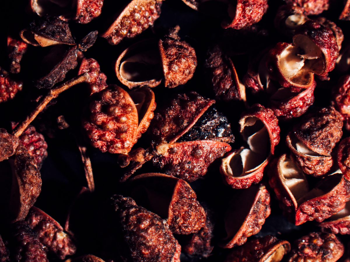 Sichuan peppercorns get their close-up.