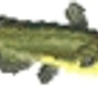 Profile image for ceceliahodges