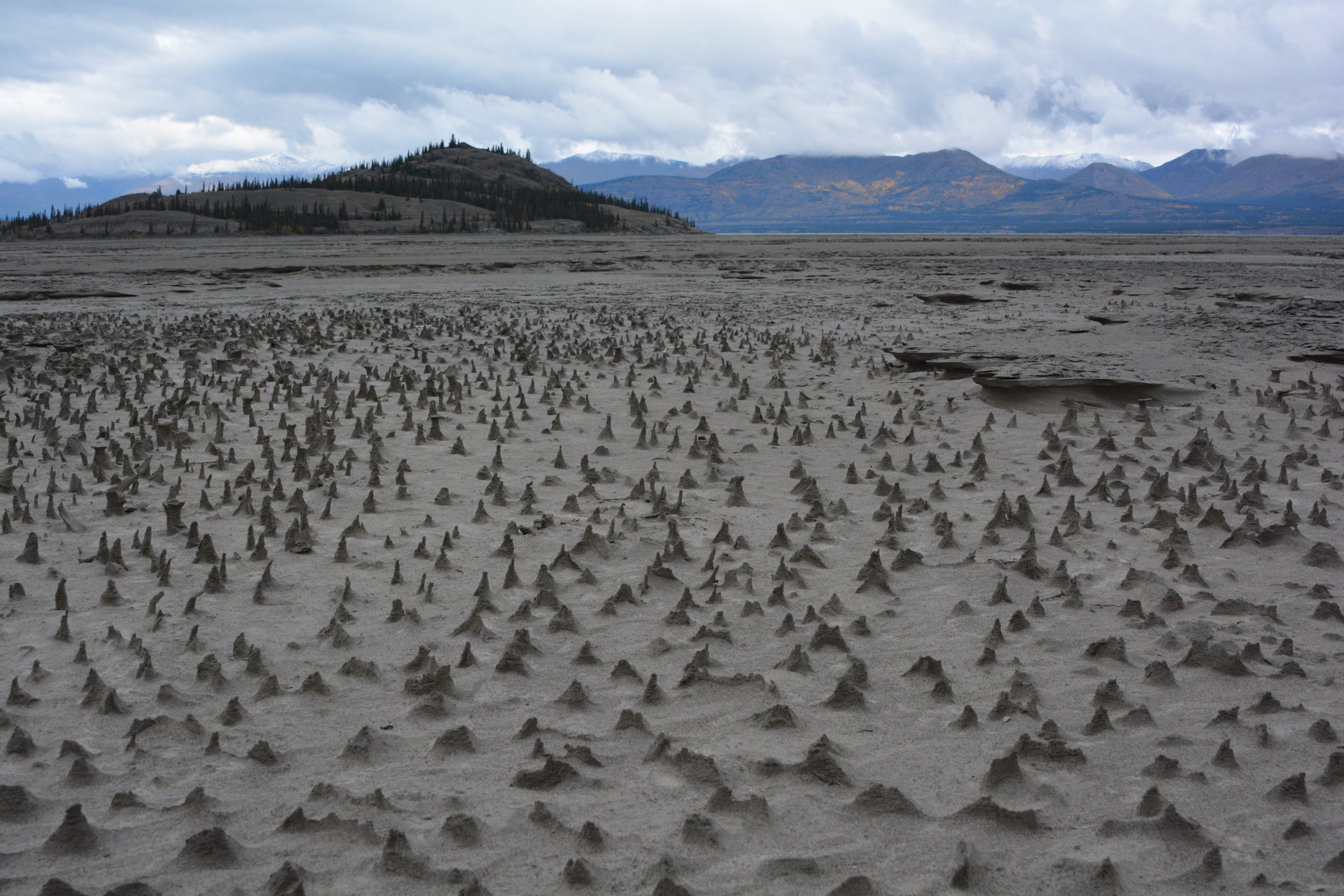 Tiny hoodoos in the newly exposed bed of Kluane Lake.