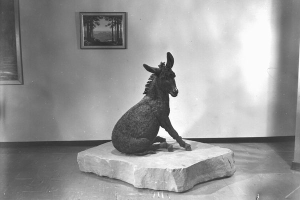 Statue of Brighty the Burro at the South Rim building.