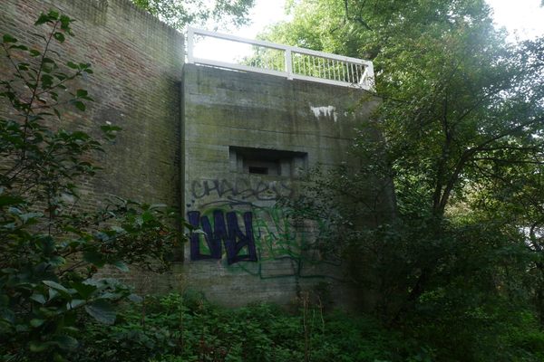 View from below