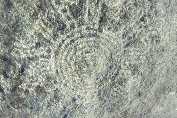 The rock paintings seen on the 1000 Ugandan shilling note.