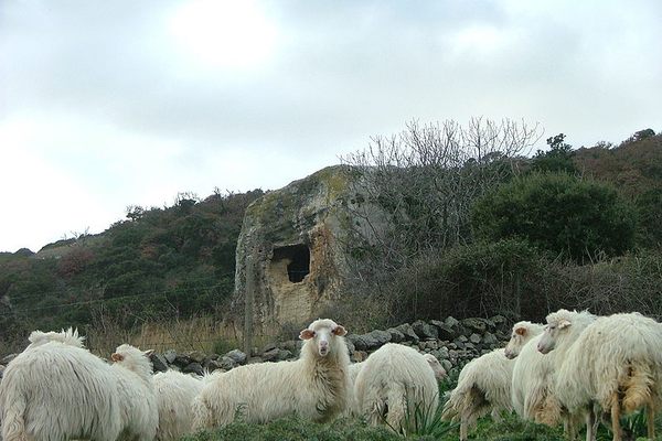 Domus de Janas in Bonnanaro