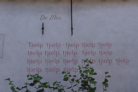 The Wall Poems of Leiden