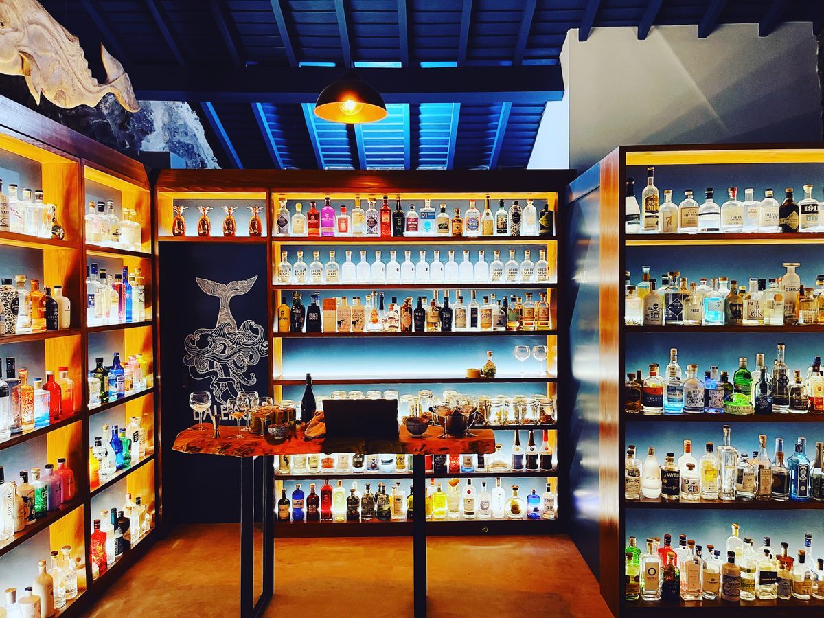 The library currently has more than 1,500 bottles of gin.