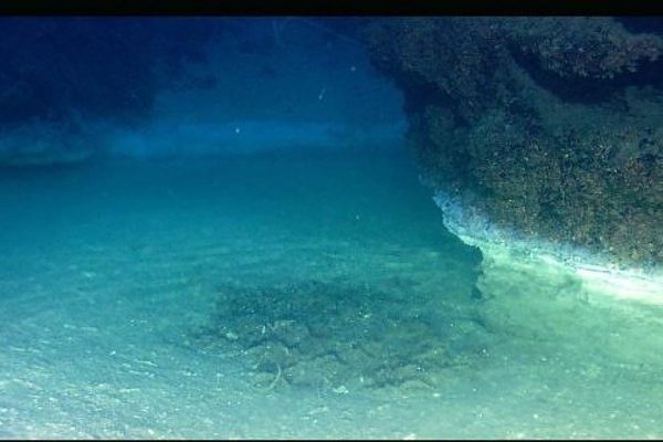 The brine pool's "shore" and surface ripples beneath the Gulf of Mexico.