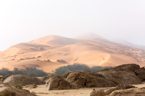 The desert landscape is varied—and often foggy.