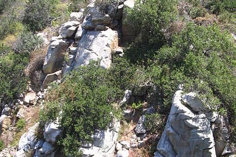 Cliffs of the Elfin Forest
