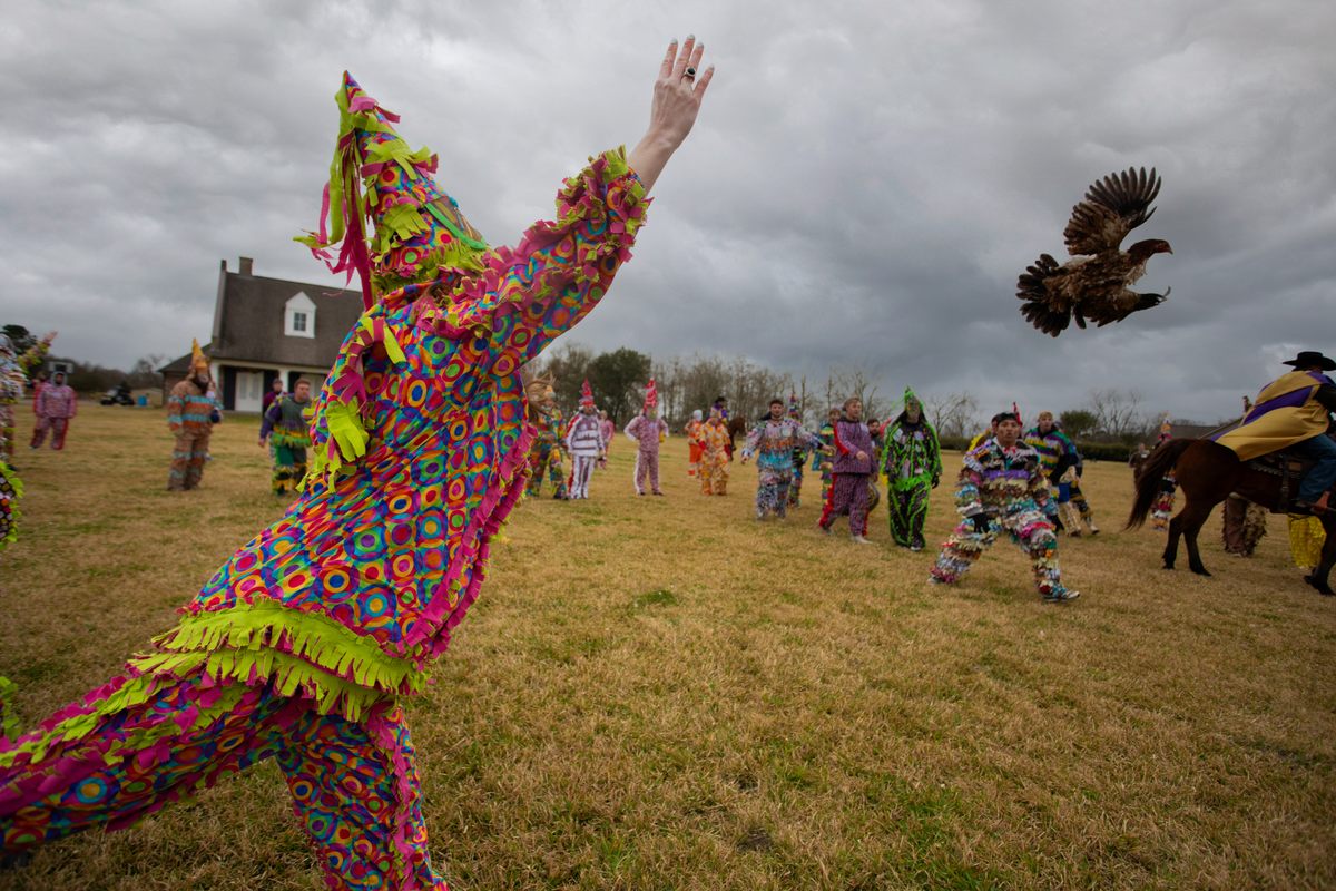 Sometimes the Mardi Gras give a captured chicken a second chance.