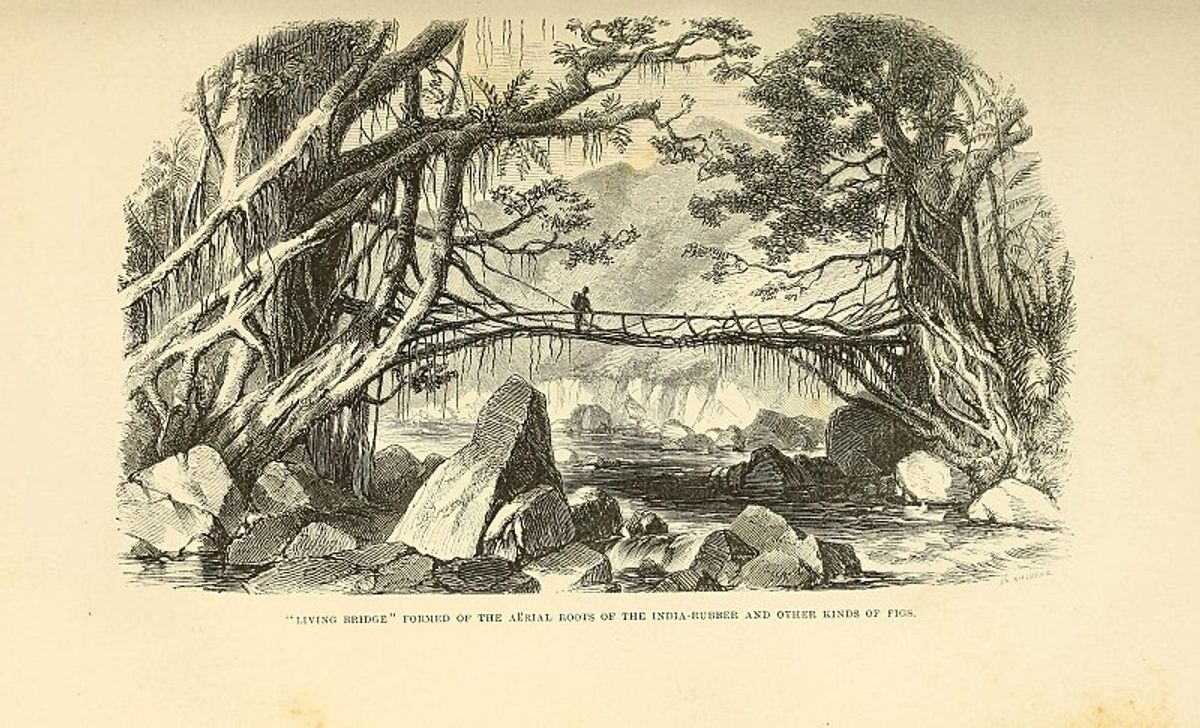 The spans are documented as far back as the mid-19th century, though they likely date back further.