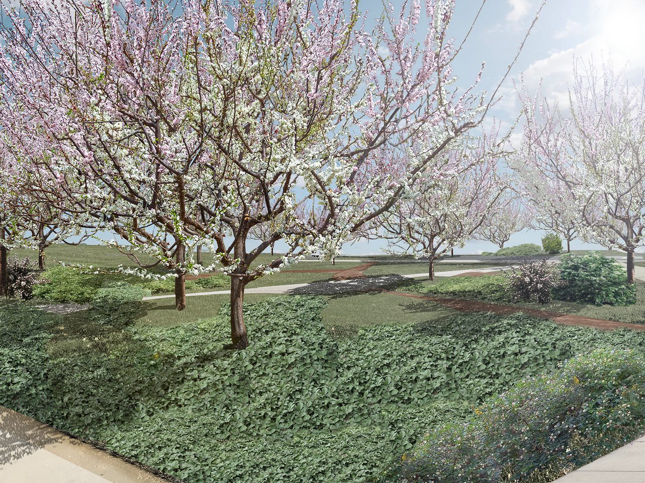 An artist rendering of the Open Orchard on Governor's Island.