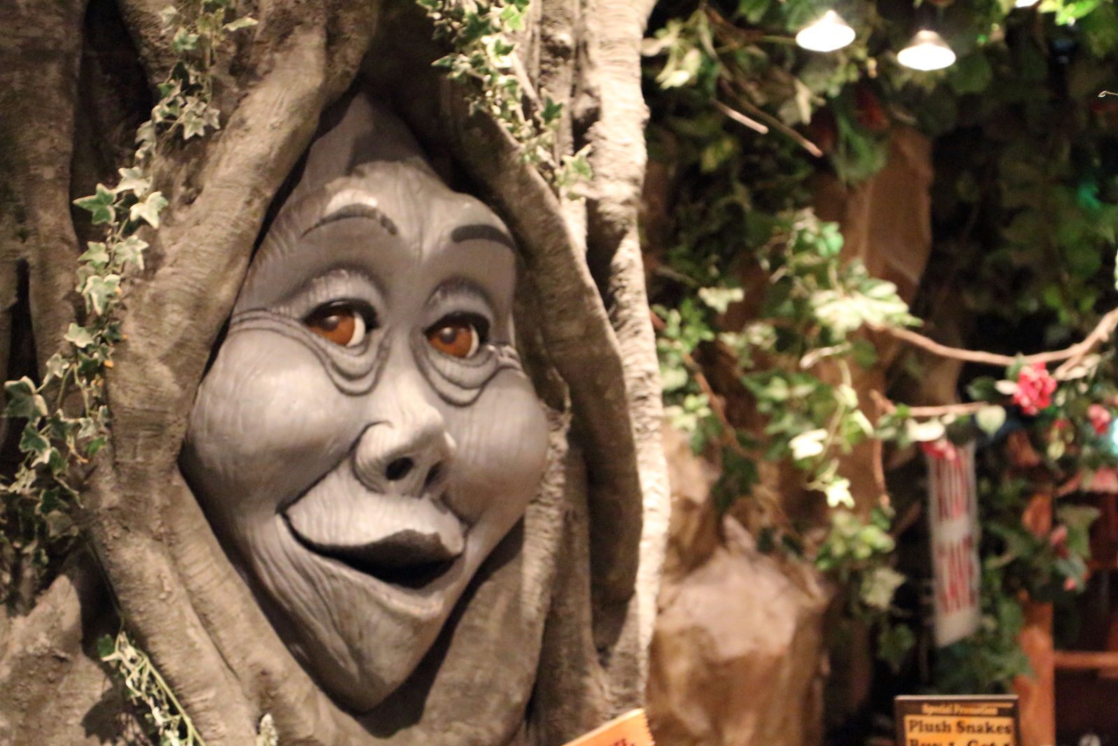 Rainforest Cafe - Can YOU guess which #classic location this is?