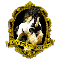Profile image for Gypsy Gold Horse Farm