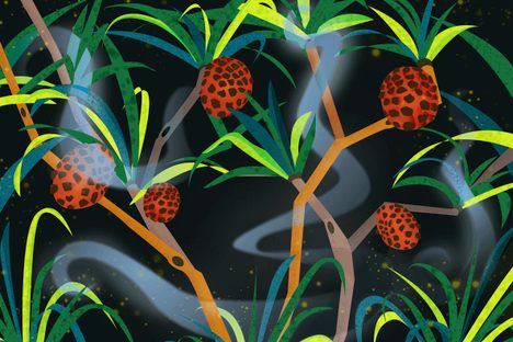 This Language Is Only Used When Collecting Nuts in New Guinea