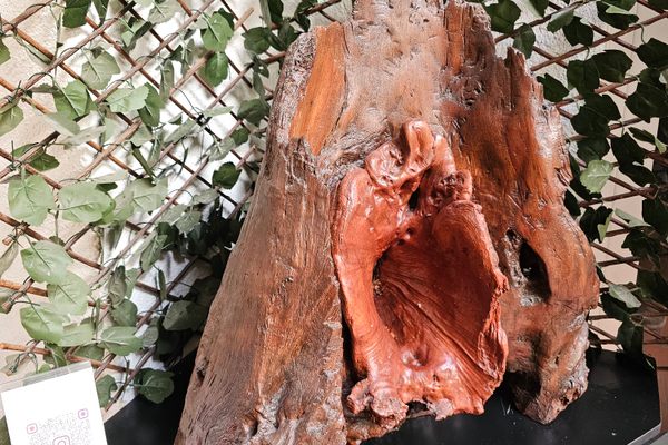 Modern tree sculpture