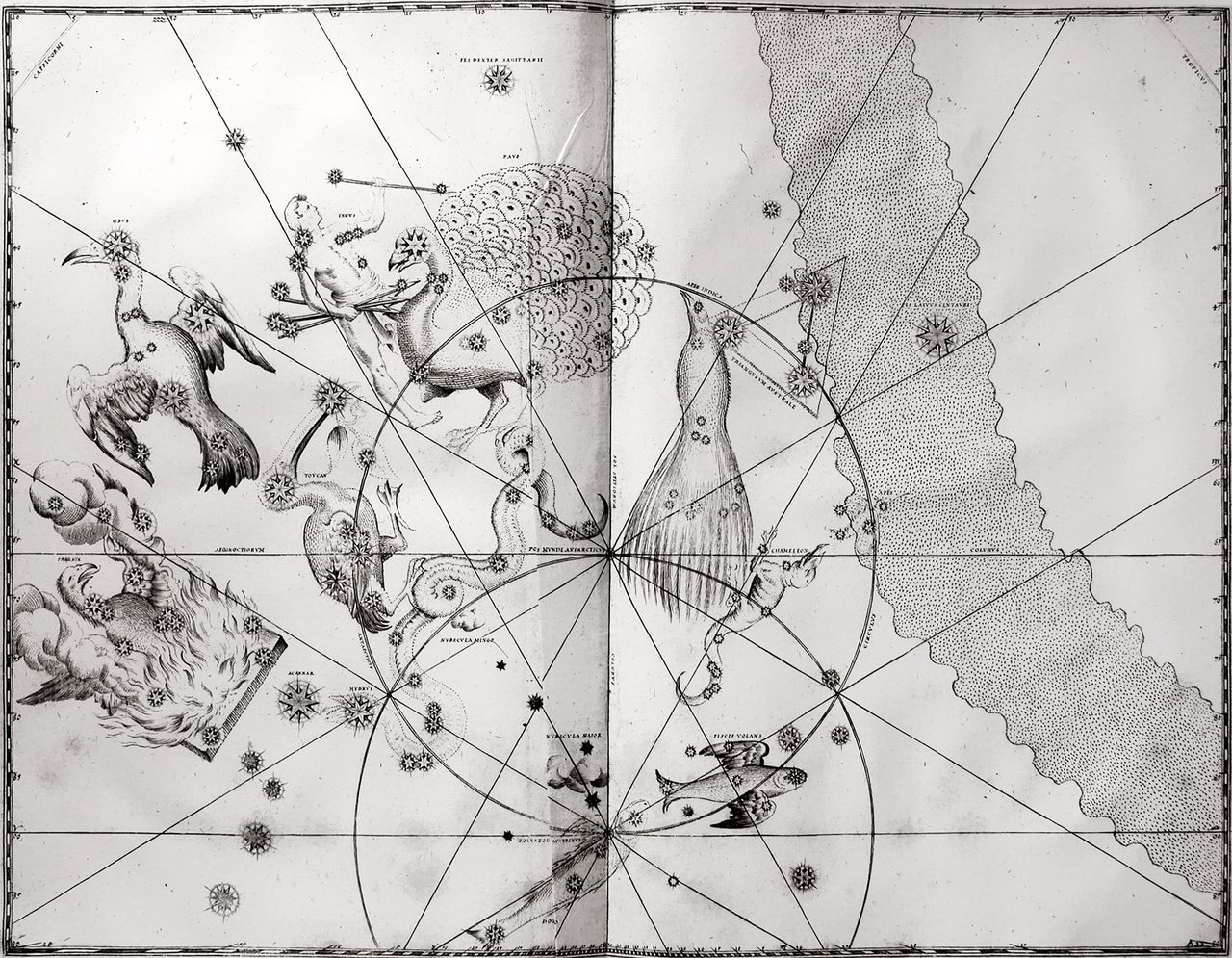 Chart 49. A print of the copperplate engraving of Johann Bayer's 1661 edition of <em>Uranometria</em>, which depicts 12 new constellations.