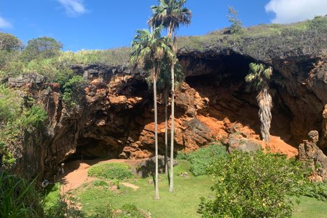 Makauwahi Cave