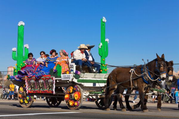 A horse-drawn carriage in the Tucson Rodeo Parade