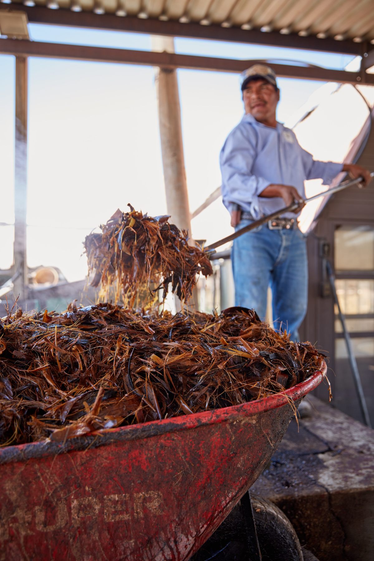 Mexican sotoleros feel the USMCA will protect an industry with a long history of persecution.
