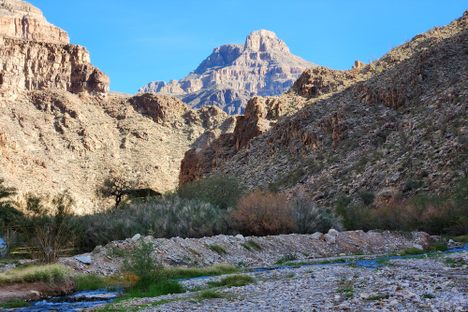 Looking back up the Diamond Creek canyon.  The creek itself is in the foreground. 