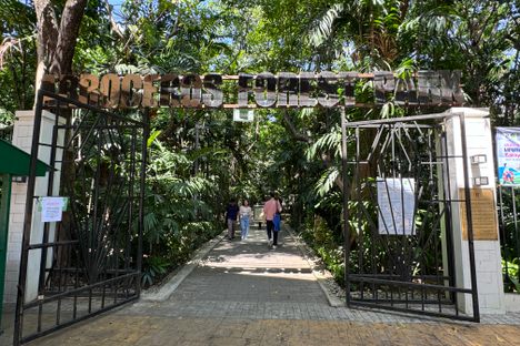 Forest park entrance 