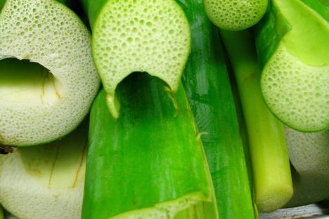 Taro Stems