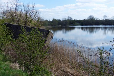 The Concrete Barge at Winthorpe Lake