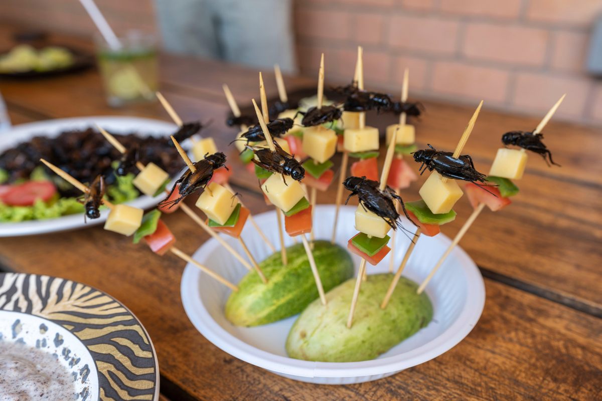 Fried cricket hors d'oeuvres are served to guests at Valala Farm, the commercial cricket-farming operation that entomologist Brian Fisher launched in Madagascar’s capital, Antananarivo.