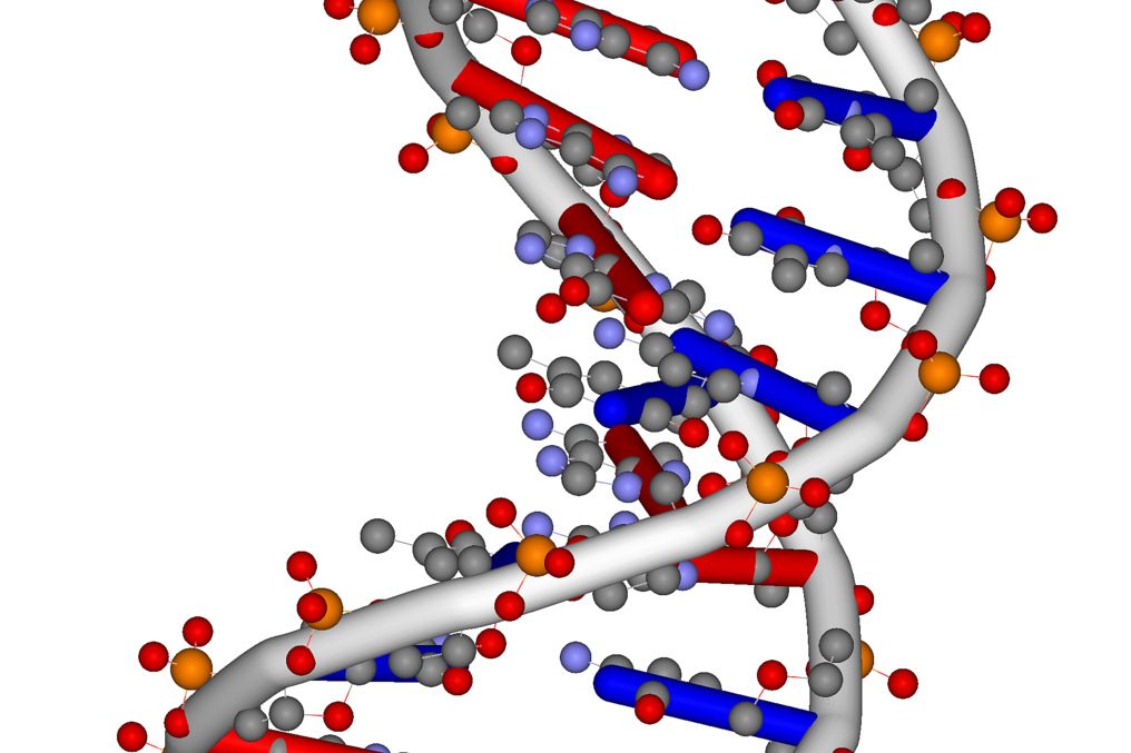 Chinese Scientists Have Edited the Genes of Human Embryos—Again