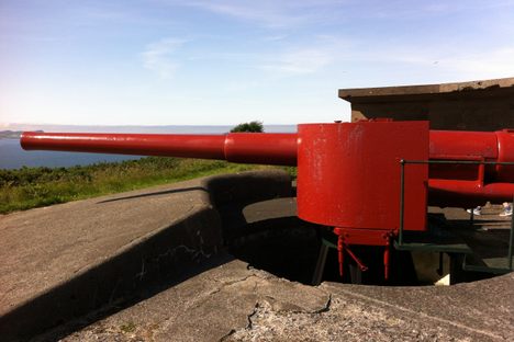 Defensive guns