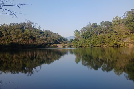 Reflections in the water