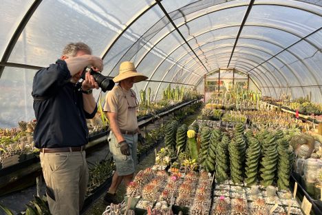 The Secret Gardens Saving the World’s Rarest Plants